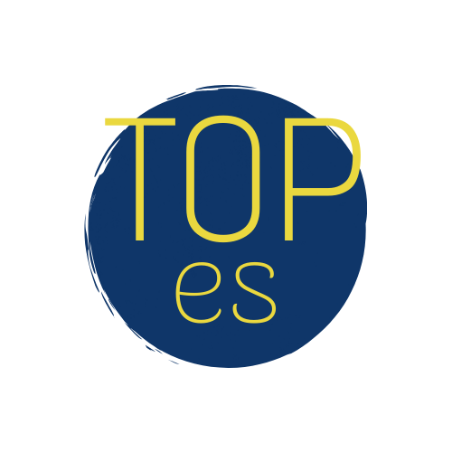 CPTeaching Curs Avançat de Teràpia Bimanual